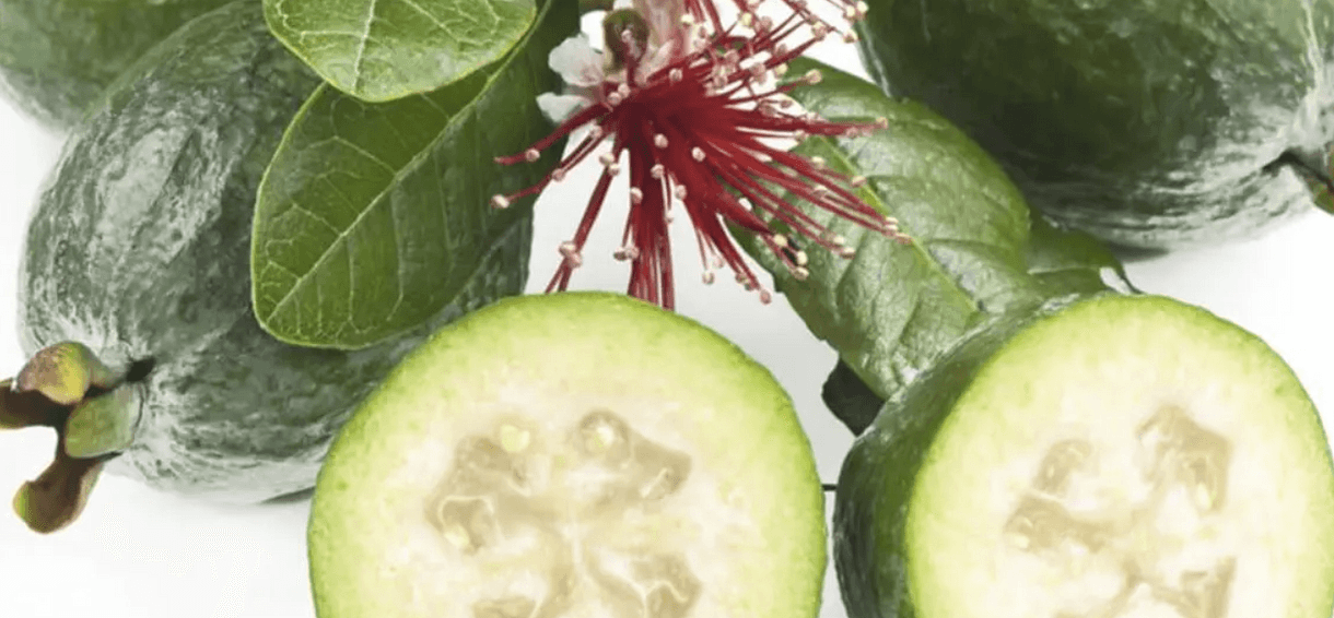 feijoa