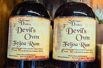 PXL_20250201_192346929~3