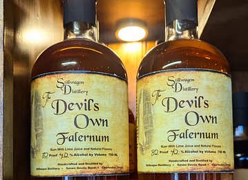 PXL_20250201_192444172~3